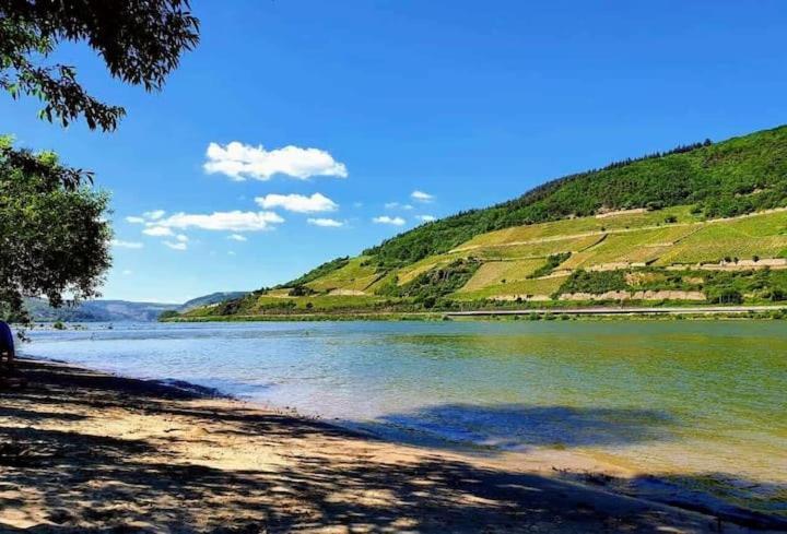 Wunderschoene Aussicht Garantiert Trechtingshausen Exteriér fotografie