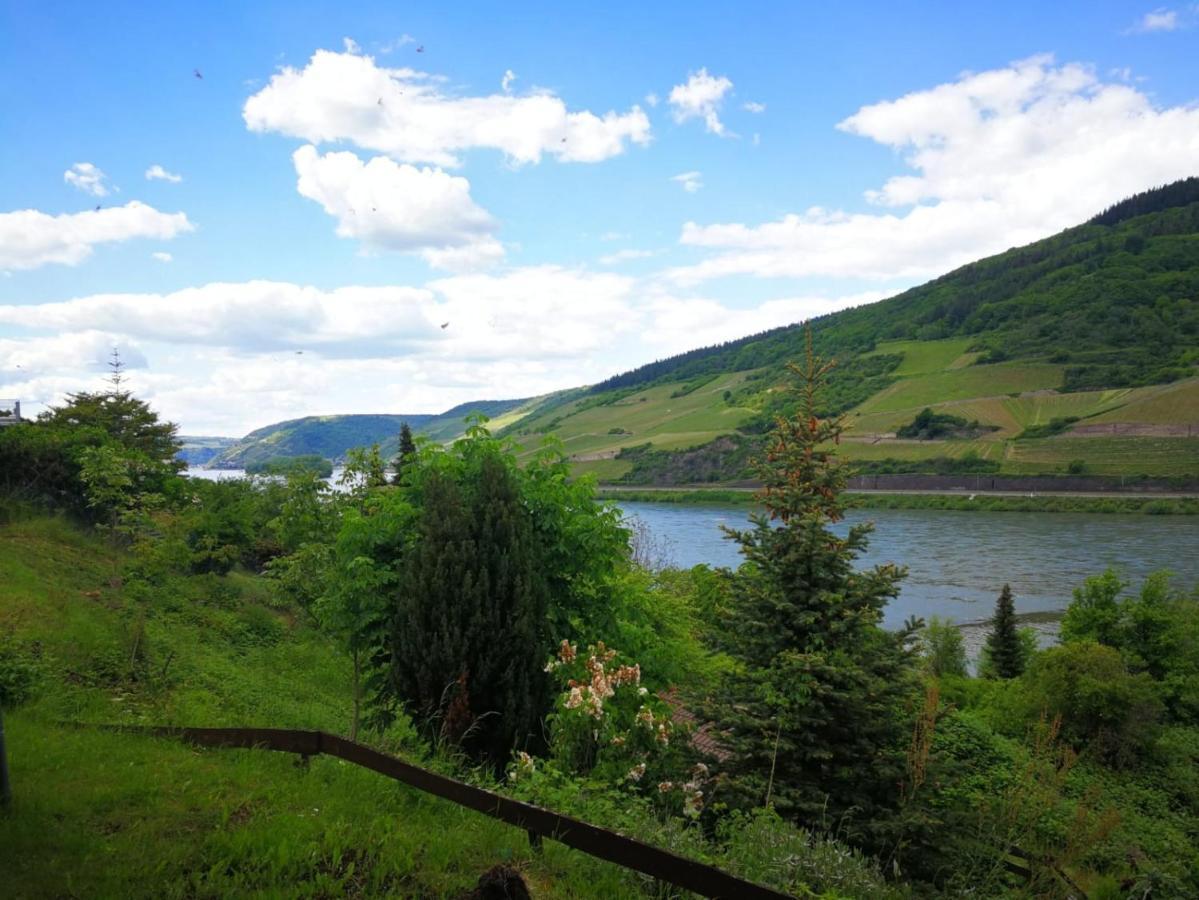 Wunderschoene Aussicht Garantiert Trechtingshausen Exteriér fotografie