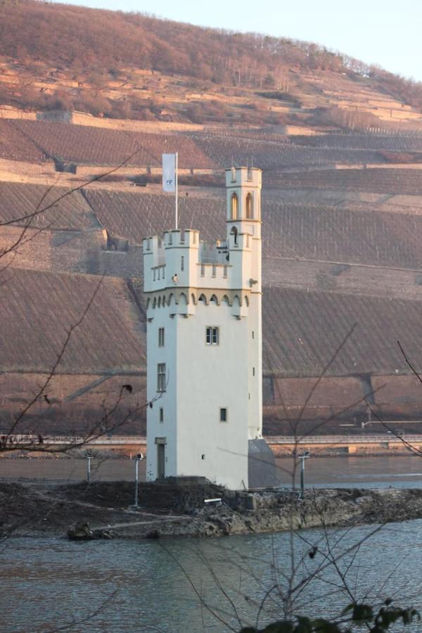Wunderschoene Aussicht Garantiert Trechtingshausen Exteriér fotografie